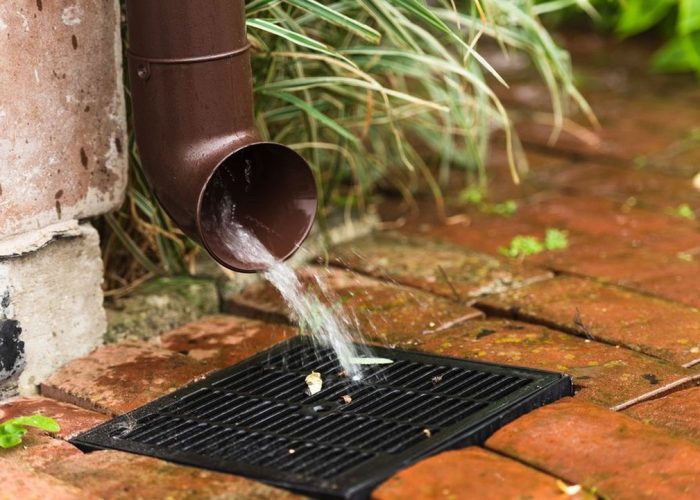 274745333_3547762152117573_11538185857060253_n